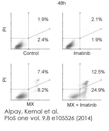 Annexin V-FITC Apoptosis Staining / Detection Kit(AB14085)