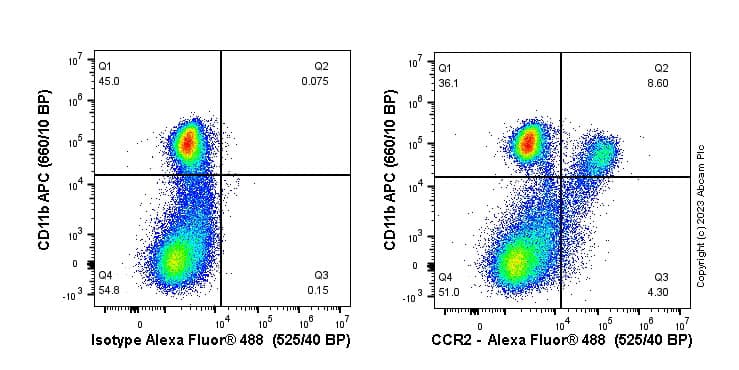 Anti-CCR2 antibody [EPR20844-15](AB273050)