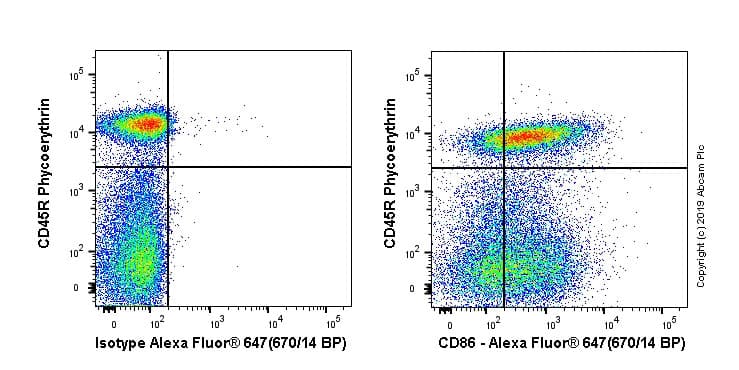 Alexa Fluor® 647 Anti-CD86 antibody [OX48](AB256271)