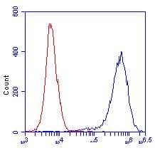 Anti-Lactate Dehydrogenase LDHA + LDHB antibody [10E6AA9](AB112996)