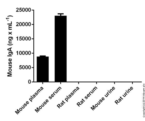 Mouse IgA ELISA Kit(AB157717)