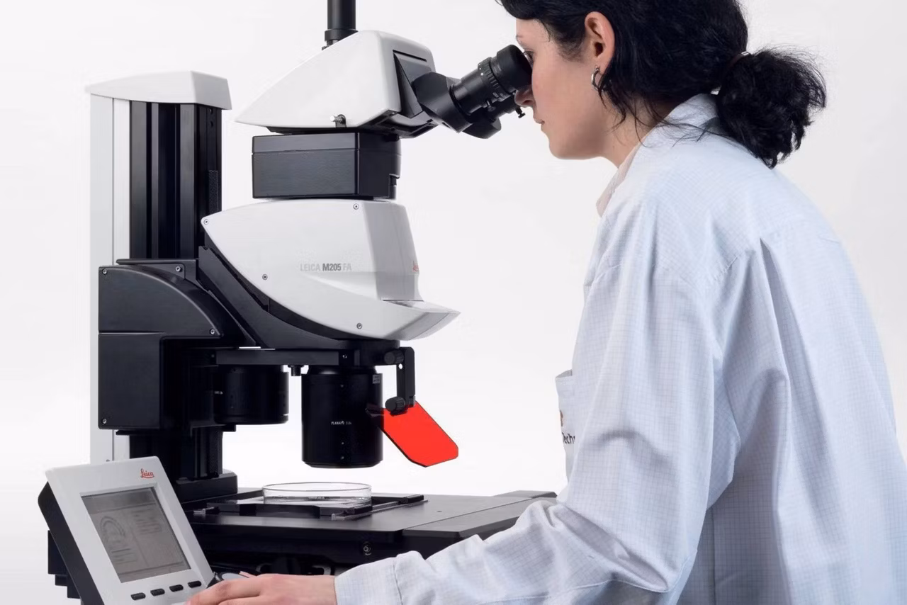 Leica M205 Fa Fully Motorized Fluorescence Stereo Microscope