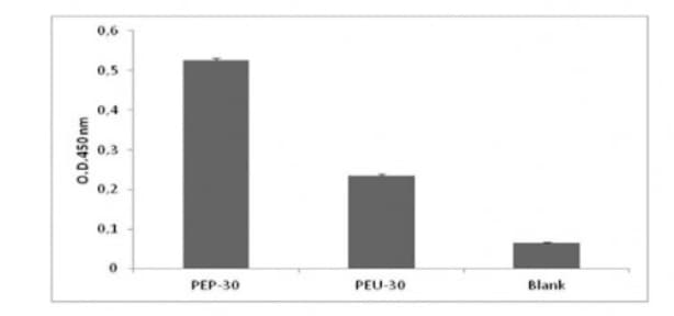 Biotin Anti-CD9 antibody [A1501](ab286172)