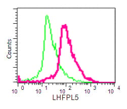 Lhfpl5 Antibody Epr16285 C Terminal Ab192242  Flow Cytometry Intracellular Img68028