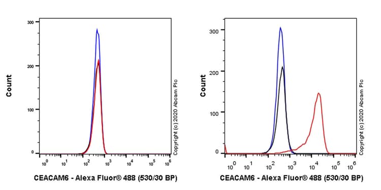 Anti-CEACAM6 antibody [EPR23956-80](AB275022)