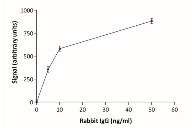Goat Rabbit Igg 80nm Gold 10 Od Ab270700  Lateral Flow Assay Img57602