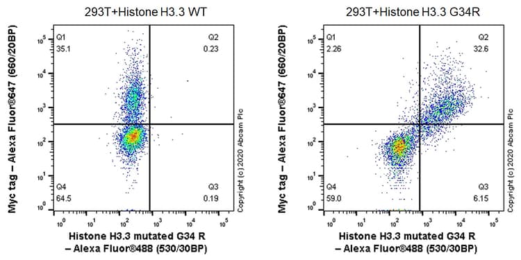 Human Histone H3.3 (Mutated G34W, G34V, G34R) Antibody Panel(AB274410)