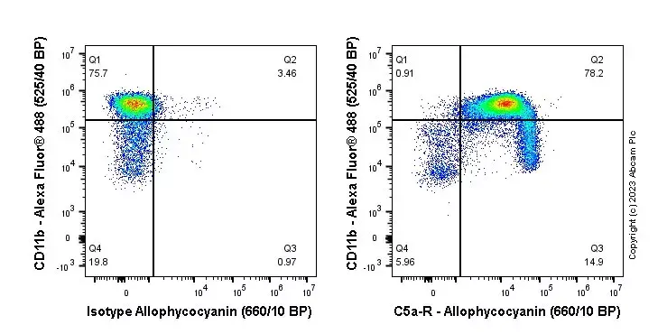 APC Rabbit IgG, monoclonal [EPR25A] - Isotype Control(AB232814)