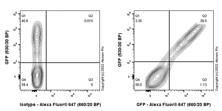 Anti-GFP antibody [EPR14104] - Chicken IgY (Chimeric)(AB300643)