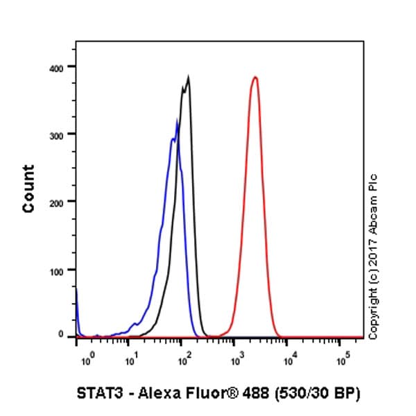 Anti-STAT3 antibody [EPR361] - BSA and Azide free(AB171360)