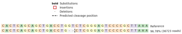 Human CD19 knockout Raji cell line(AB274913)