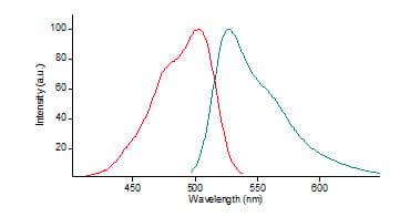 Nuclear Green Lcs1 Ab138904  Functional Studies Img58864