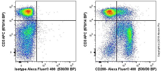 Anti-CD200 / OX2 antibody [MRC OX-2](AB22353)