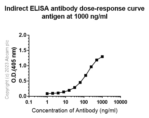 Anti-CCR6 antibody [EPR22259](AB227036)