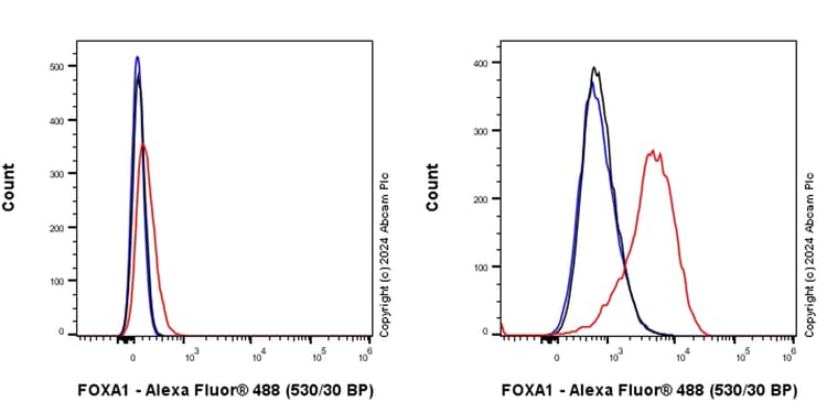 Anti-FOXA1 antibody [RM1119](AB317046)