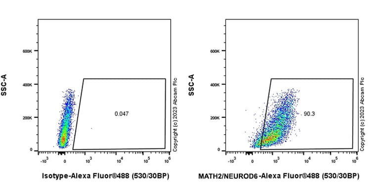 Anti-MATH2/NEUROD6 antibody [EPR28660-23](AB315812)