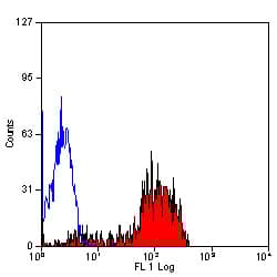 Anti-CD52 antibody [YTH34.5] - Low endotoxin, Azide free(AB194860)