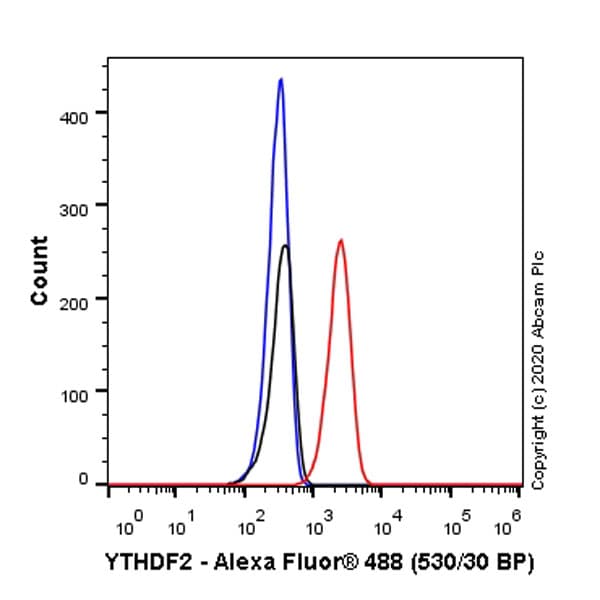 Anti-YTHDF2 antibody [EPR23544-19] - BSA and Azide free(AB275037)