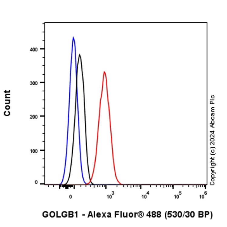 Anti-Giantin antibody [EPR27334-4](AB317612)