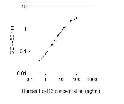 Human FOXO3A ELISA Kit(AB277471)