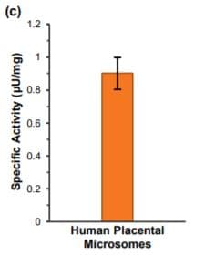 Aromatase Cyp19a Activity Assay Kit Fluorometric Ab273306  Functional Studies Img134115