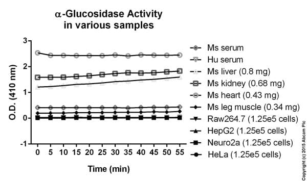 Alpha-Glucosidase Activity Assay Kit (Colorimetric)(AB174093)