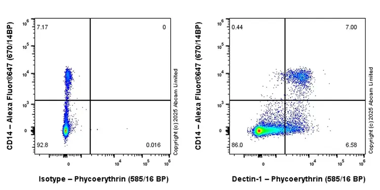 PE Rabbit IgG, monoclonal [EPR25A] - Isotype Control(AB209478)