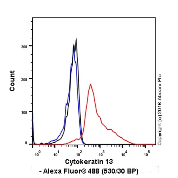 Anti-Cytokeratin 13 antibody [EPR3671](AB92551)