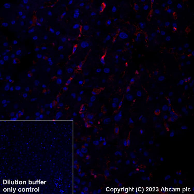 Antigen Retrieval Buffer (100X Tris-EDTA Buffer, pH 9.0)(AB93684)