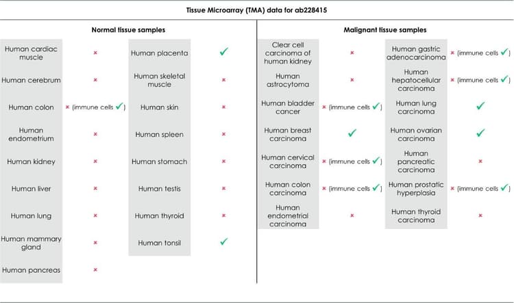 Anti-PD-L1 antibody [73-10](AB228415)
