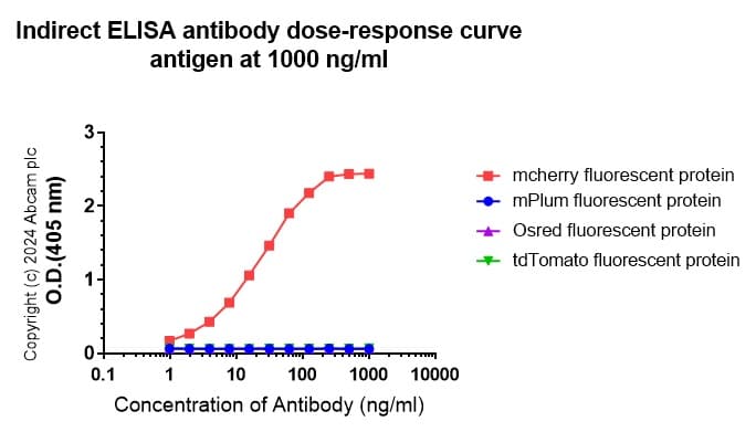Anti-mCherry antibody [EPR20579](AB213511)