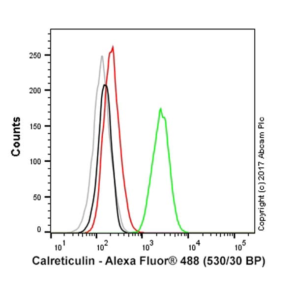 Alexa Fluor® 488 Anti-Calreticulin antibody [EPR3924] - ER Marker(AB196158)
