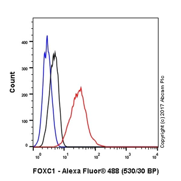 Anti-FOXC1 antibody [EPR20685](ab227977)