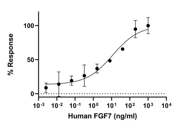 Recombinant human KGF/FGF-7 protein (Active)(AB283451)