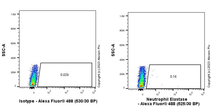 Anti-Neutrophil Elastase antibody [EPR28386-66](AB310335)