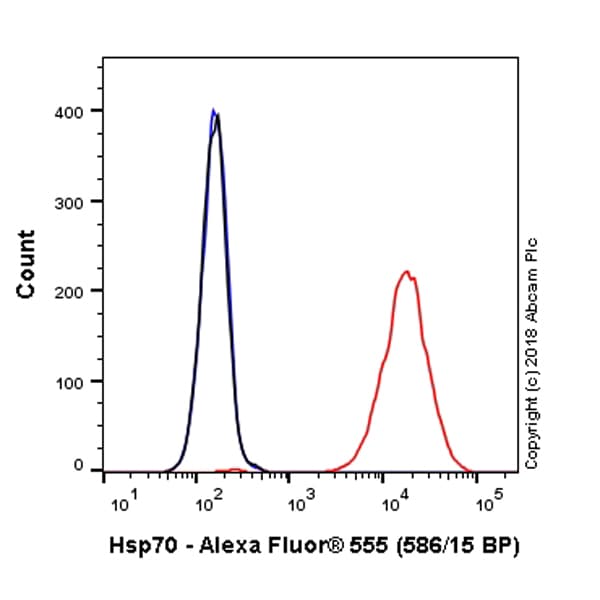 Alexa Fluor® 555 Anti-Hsp70 antibody [EP1007Y](AB223389)