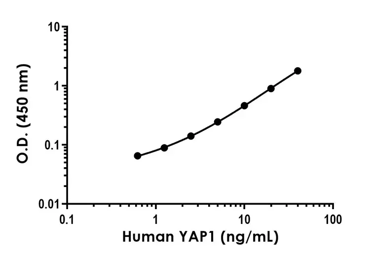 Human YAP1 ELISA Kit(AB230942)
