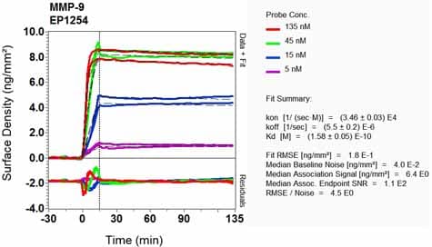 Anti-MMP9 antibody [EP1254](AB76003)