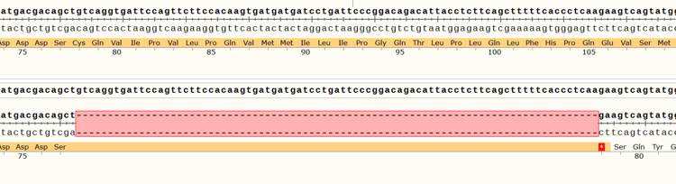 Human Crbn Knockout Hct116 Cell Line Ab289186  Sanger Sequencing Img417764