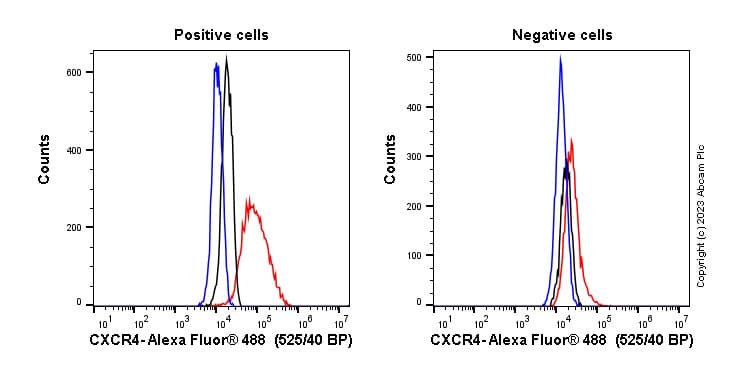 Anti-CXCR4 antibody [UMB2](AB124824)
