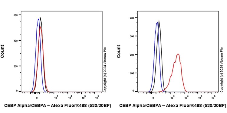Anti-CEBP Alpha/CEBPA antibody [EPR27924-90](AB317442)