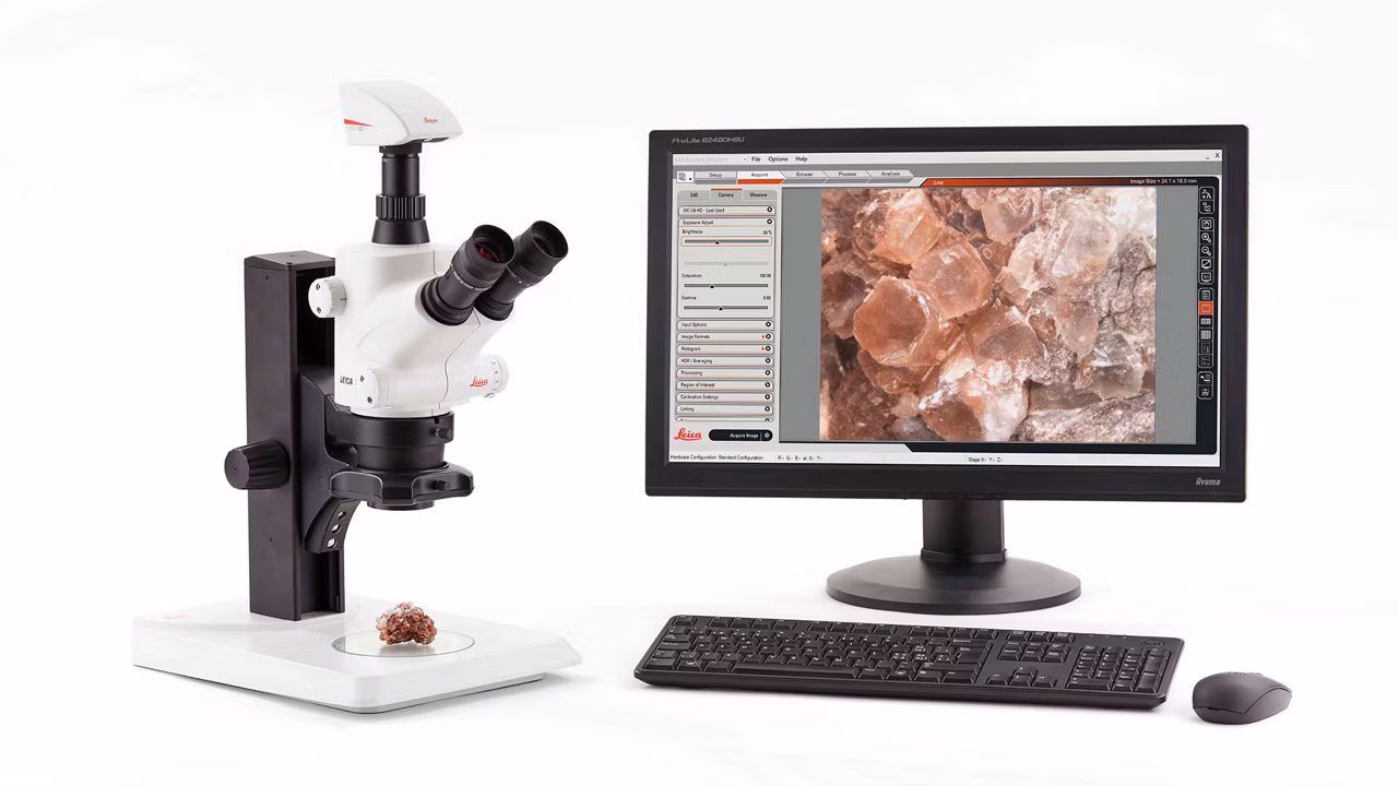 Leica EC4 S8 0351B Screen Lifescience Kid21765862