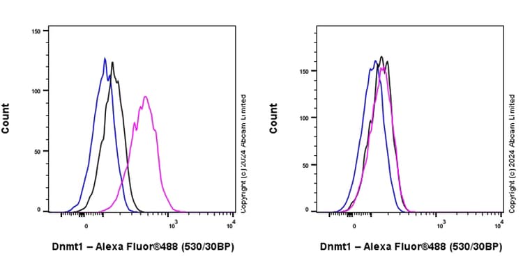 Dnmt1 Antibody Rm1192 Ab317845  Flow Cytometry Intracellular Img434531