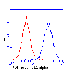 Anti-PDHA1 antibody [9H9AF5](AB110330)