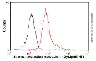 Anti-Stromal interaction molecule 1 antibody [5A2](ab57834)