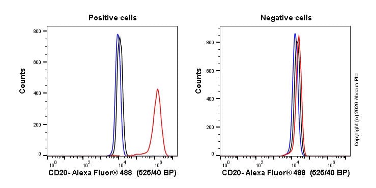 Anti-CD20 antibody [EP459Y] - Mouse IgG2a (Chimeric) - BSA and Azide free(AB279311)