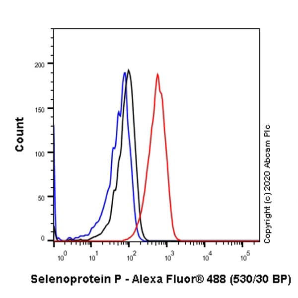 Anti-SEPP1 antibody [EPR24174-24](AB277526)