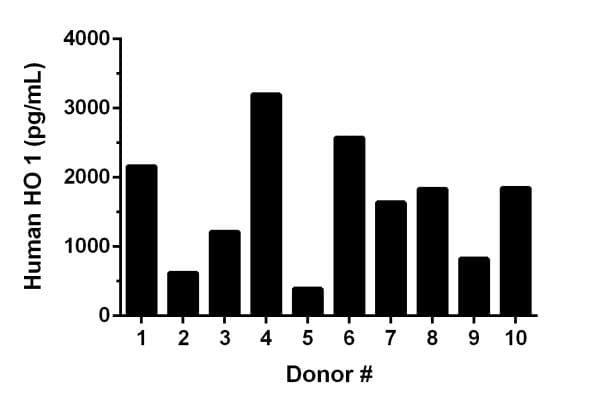 Human Heme Oxygenase 1 ELISA Kit(AB207621)