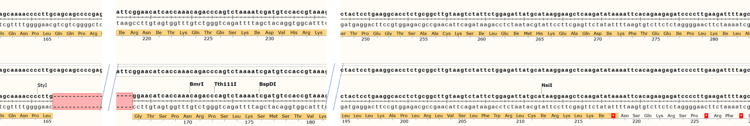 Human Igf2bp3 Knockout Hct116 Cell Line Ab289247  Sanger Sequencing Img417774