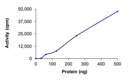 Recombinant human FAK protein(AB105909)
